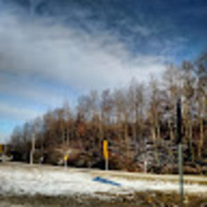 Meet your Posher, Marcia